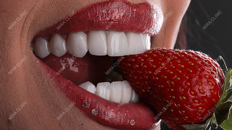Which Option Is Better for Chewing?